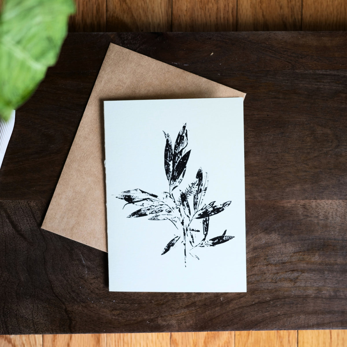 Set of 5 Botanical Greeting Cards | Minimalist Plant Art Prints