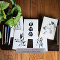 Set of 5 Botanical Greeting Cards | Minimalist Plant Art Prints