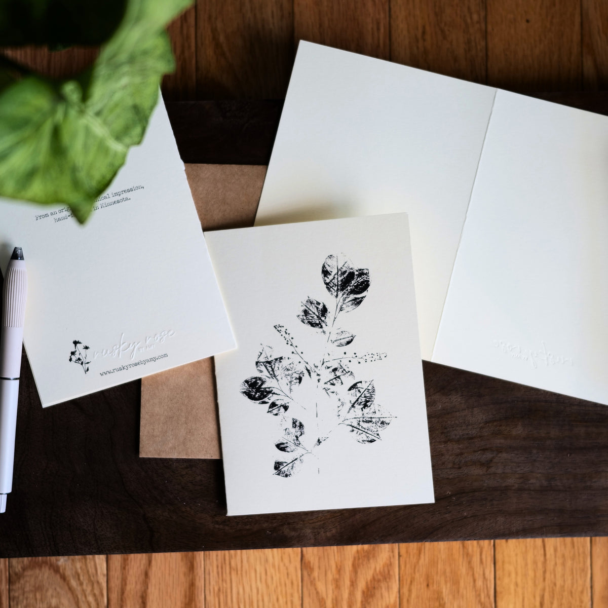 Set of 5 Botanical Greeting Cards | Minimalist Plant Art Prints