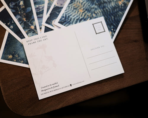 Botanical Postcard Set of 10, Original Minnesota Cyanotype Art, Frameable Nature Postcards, Botanical Stationery, Unique Art Prints