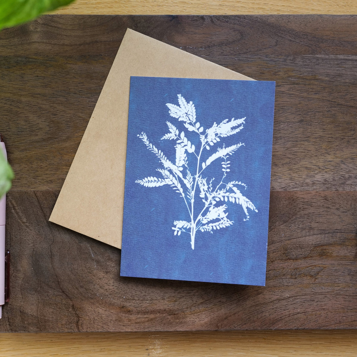 Set of 5 Cyanotype Botanical Cards | Rusky Rose Art Prints, Blank Note Cards