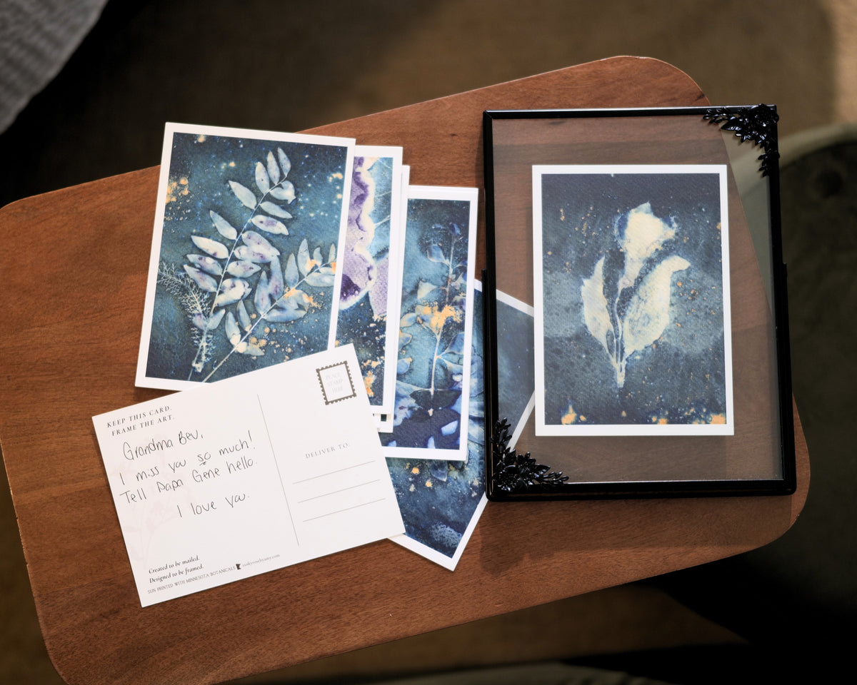 Botanical Postcard Set of 10, Original Minnesota Cyanotype Art, Frameable Nature Postcards, Botanical Stationery, Unique Art Prints