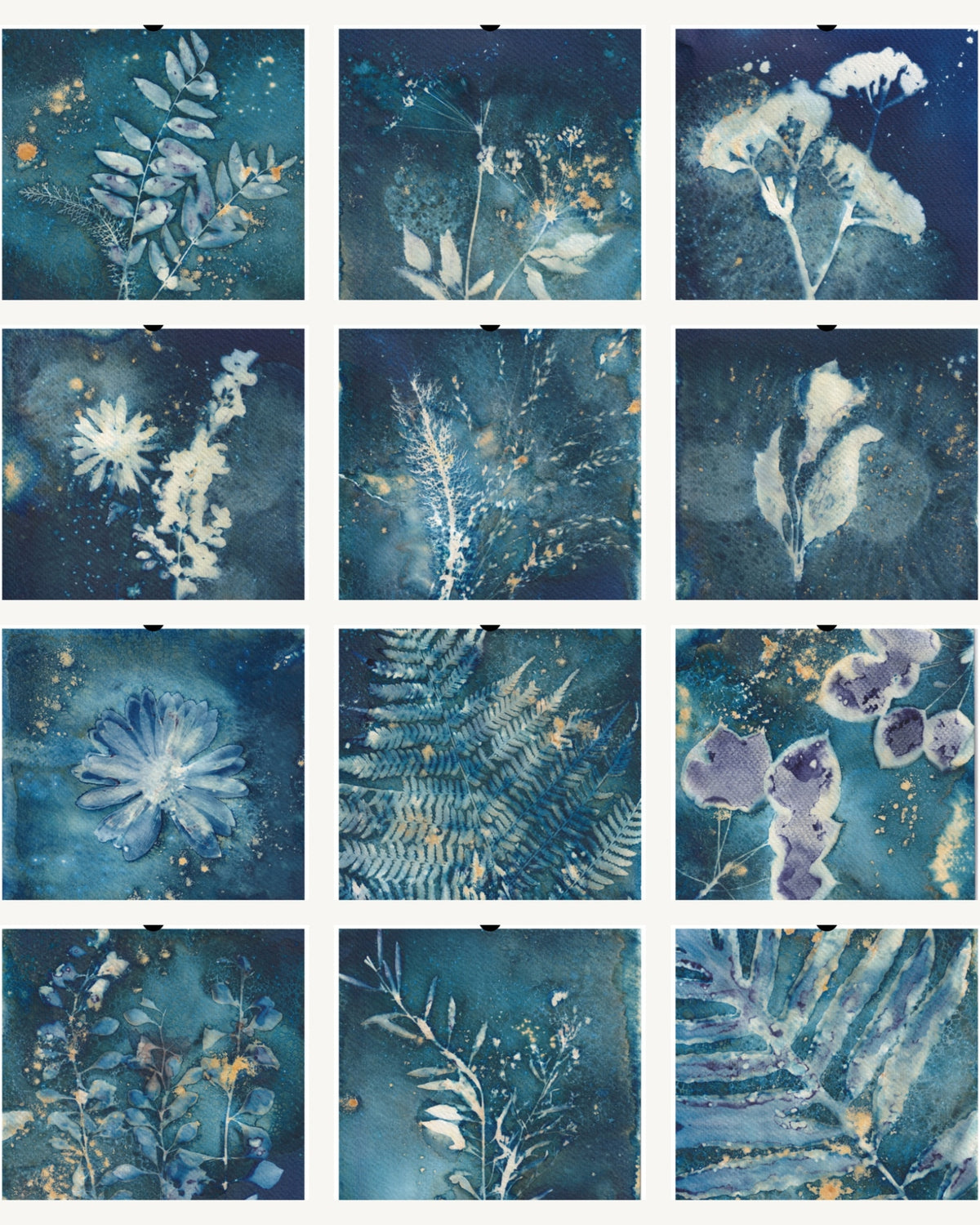 2027 Cyanotype Botanical Wall Calendar | Original Sun Printed Nature Art | 11x16.5 Hanging Calendar | Botanical Gift for Nature Lovers