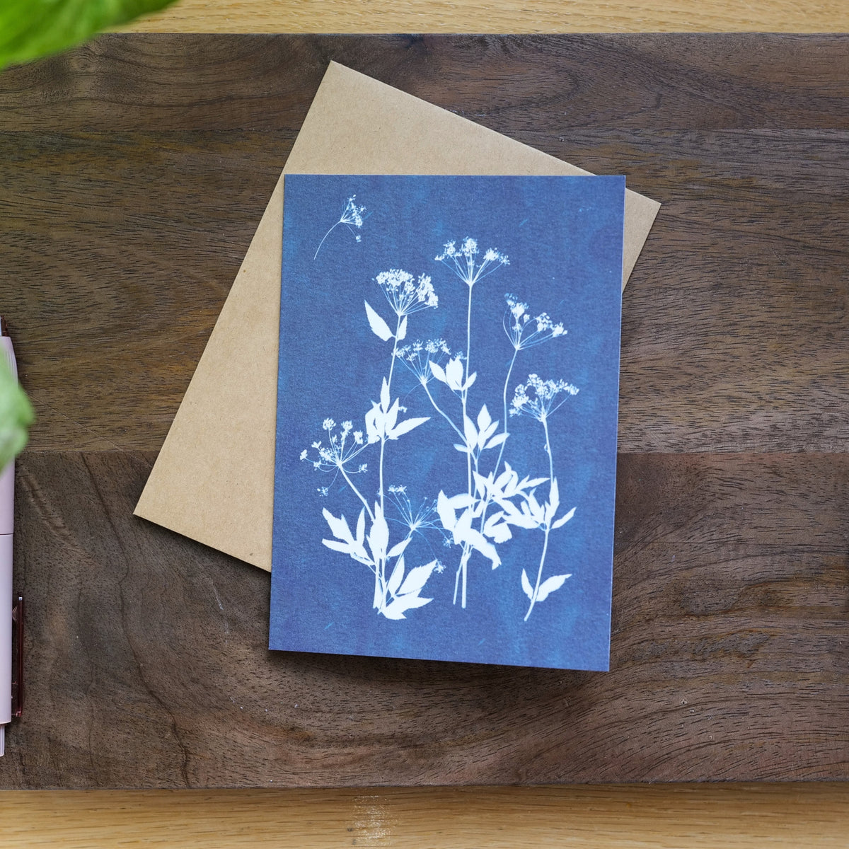 Set of 5 Cyanotype Botanical Cards | Rusky Rose Art Prints, Blank Note Cards