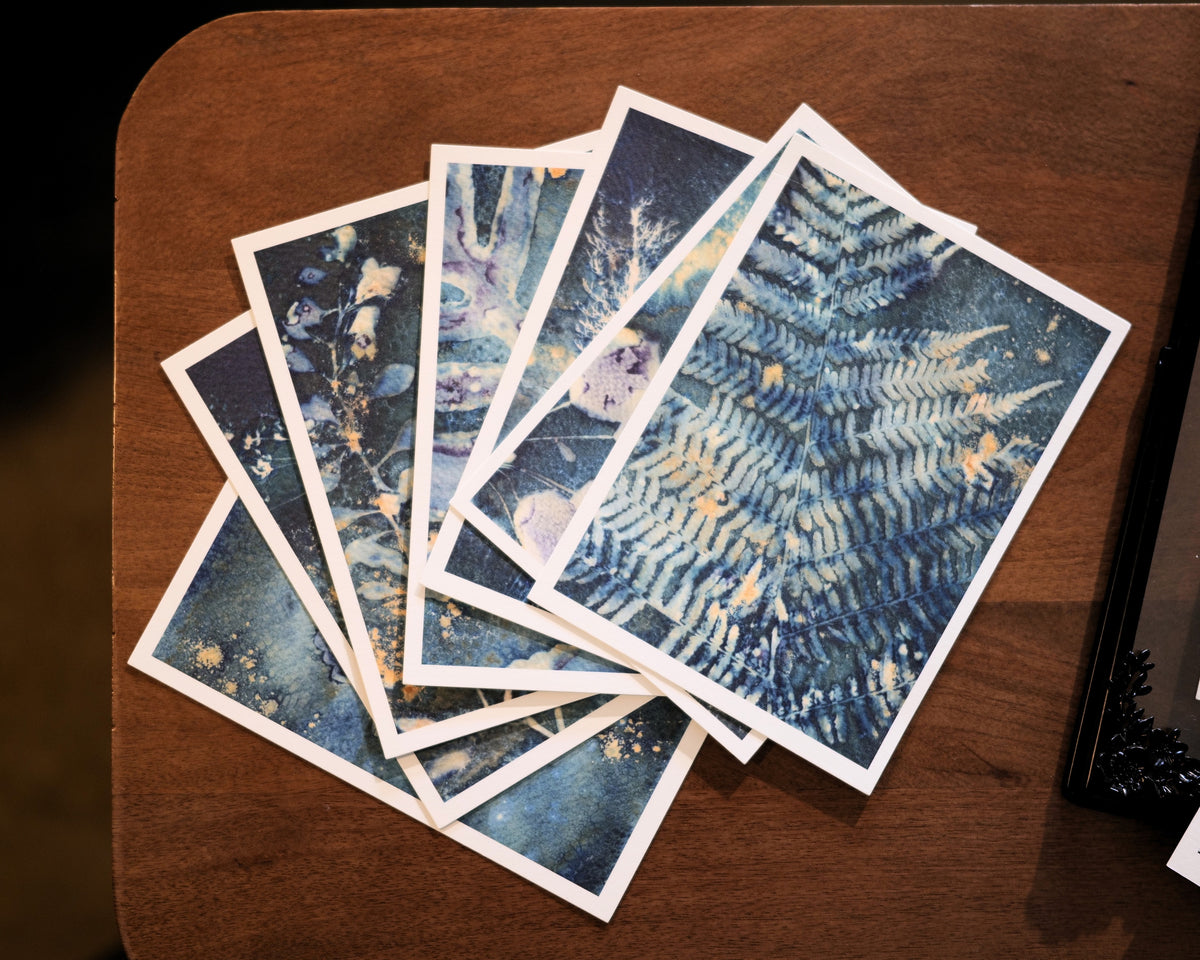 Botanical Postcard Set of 10, Original Minnesota Cyanotype Art, Frameable Nature Postcards, Botanical Stationery, Unique Art Prints