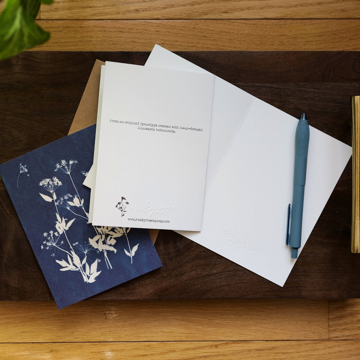 Set of 5 Cyanotype Botanical Cards | Rusky Rose Art Prints, Blank Note Cards