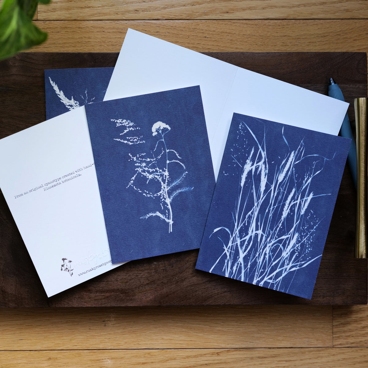 Set of 5 Cyanotype Botanical Cards | Rusky Rose Art Prints, Blank Note Cards