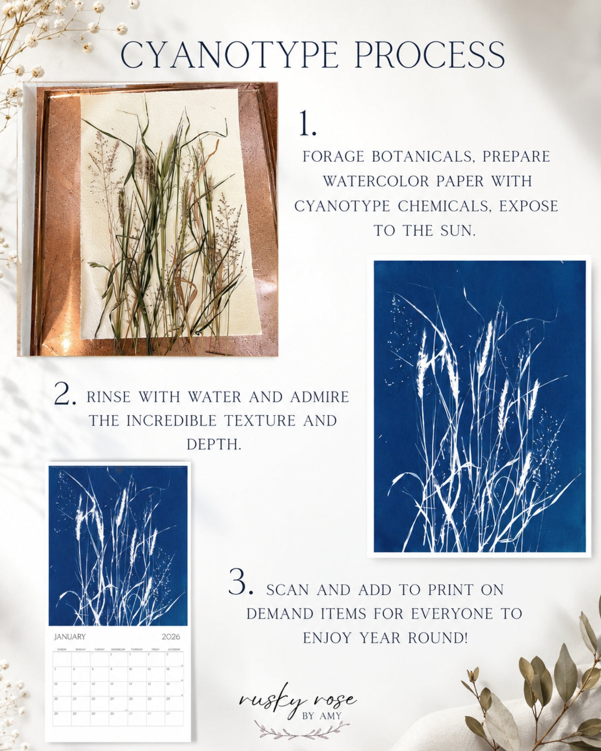 Botanical Postcard Set of 10, Original Minnesota Cyanotype Art, Frameable Nature Postcards, Botanical Stationery, Unique Art Prints