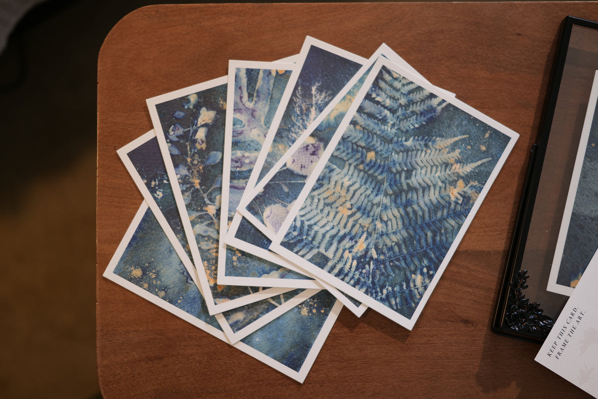 Botanical Postcard Set of 10, Original Minnesota Cyanotype Art, Frameable Nature Postcards, Botanical Stationery, Unique Art Prints