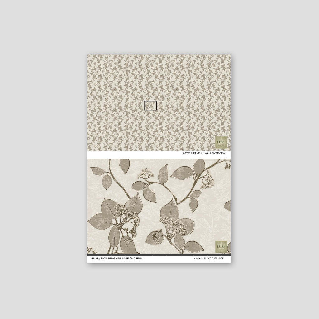 Briar flowering vine sage on cream wallpaper with delicate floral pattern.