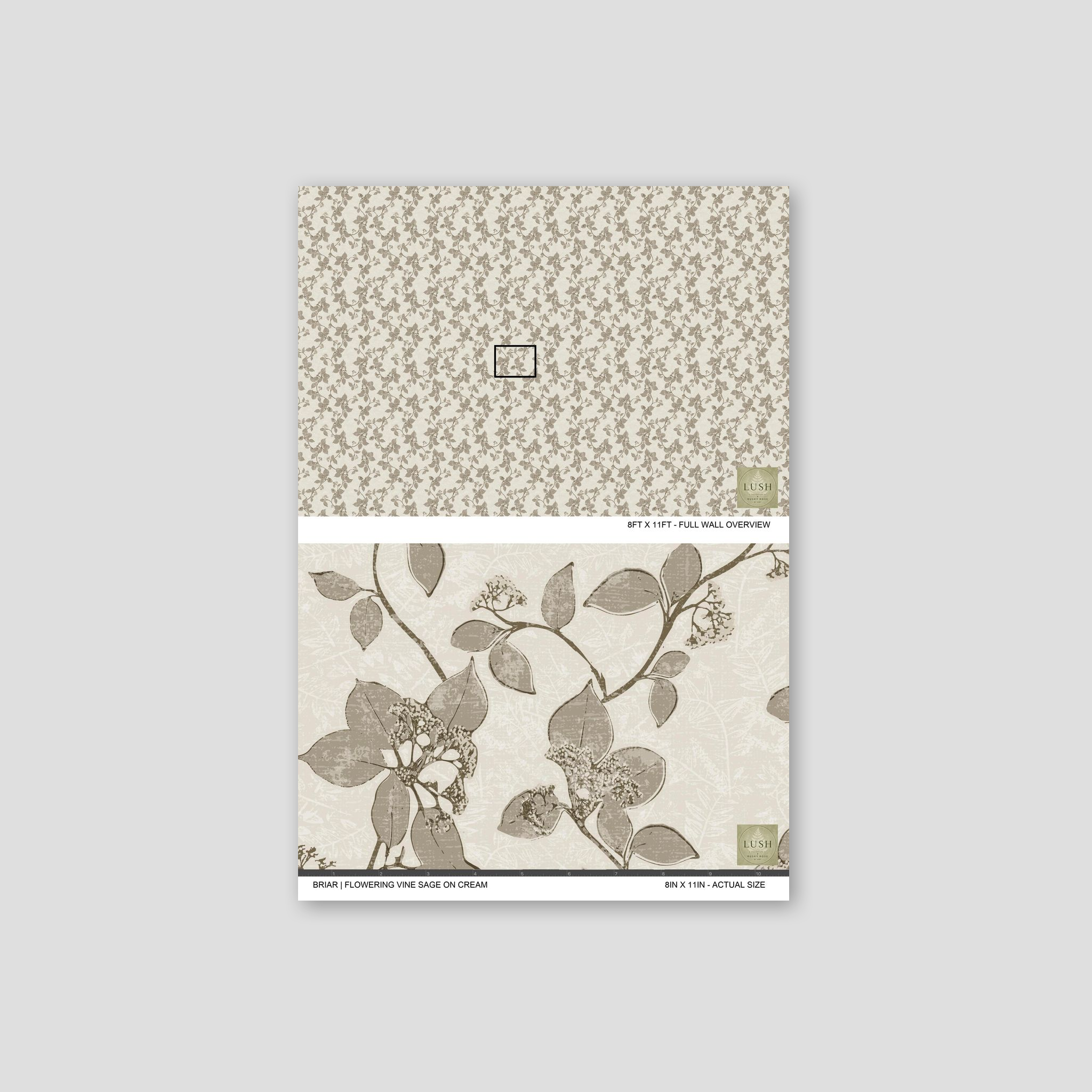 Briar flowering vine sage on cream wallpaper with delicate floral pattern.
