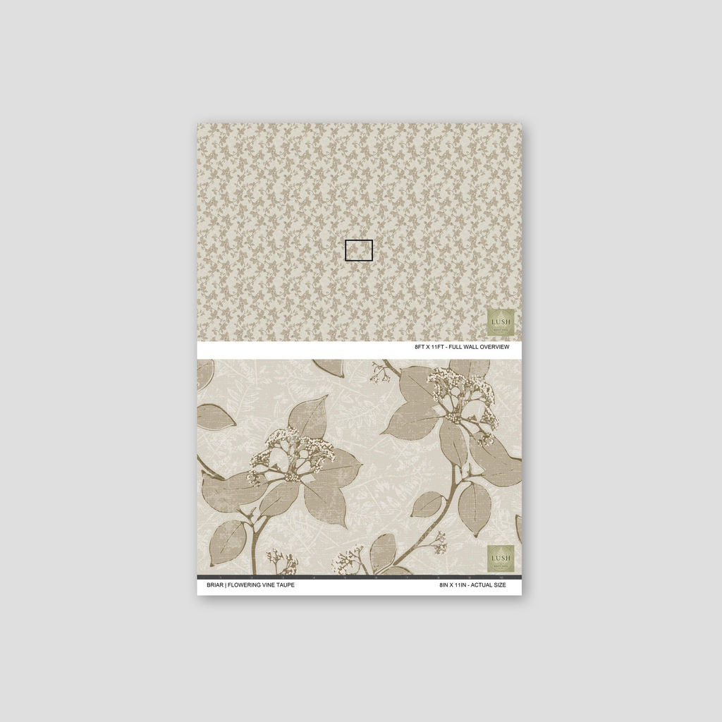 Taupe floral vine wallpaper sample with delicate cream flowers.