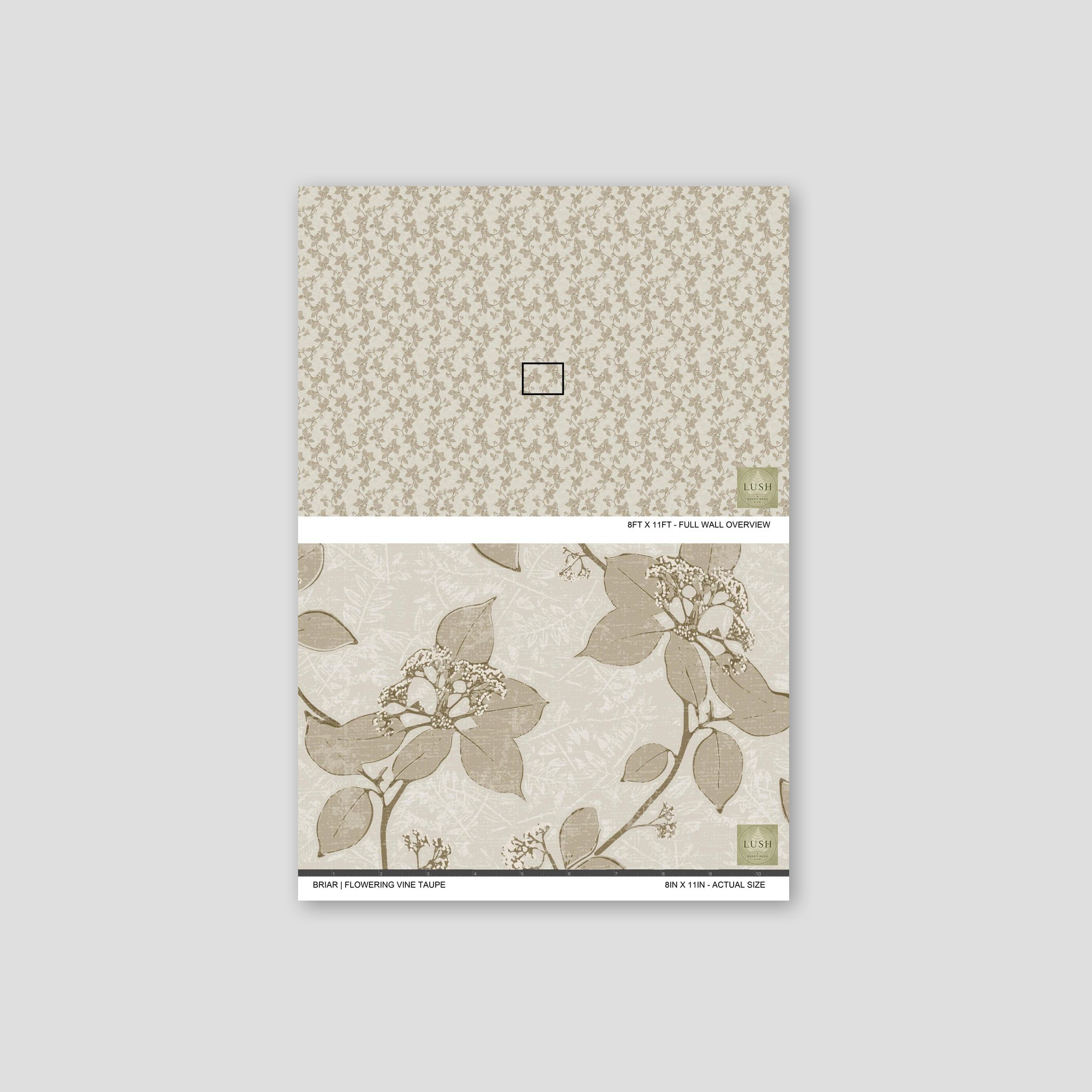 Taupe floral vine wallpaper sample with delicate cream flowers.